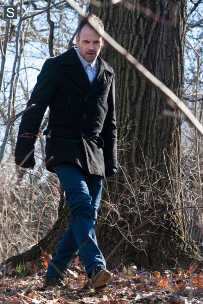 Sherlock parcourt la forêt